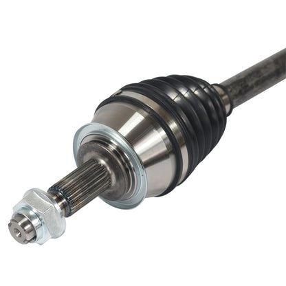 NCV16005_3.jpg