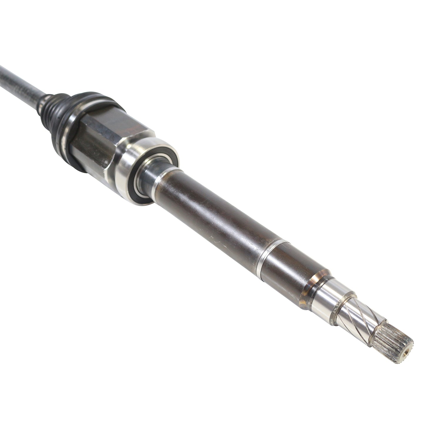 NCV11250_4.jpg