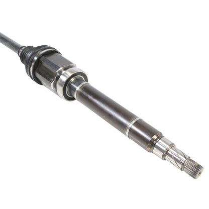 NCV11250_4.jpg