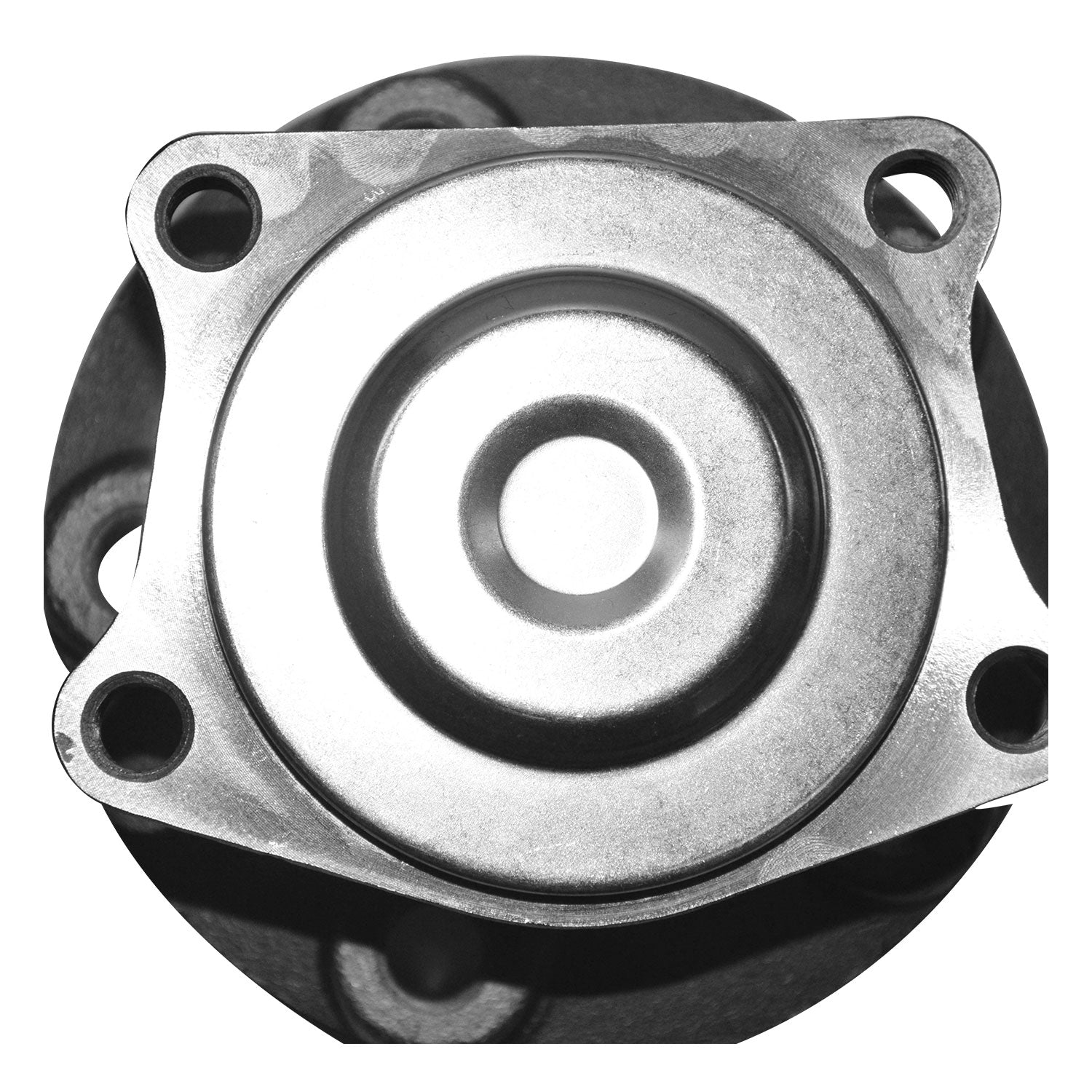 733233_2.jpg