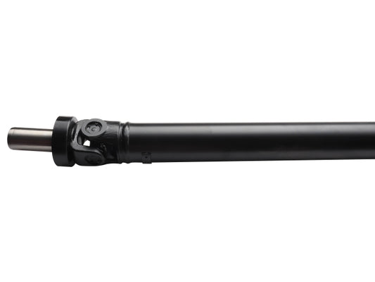 PS900492_1.jpg