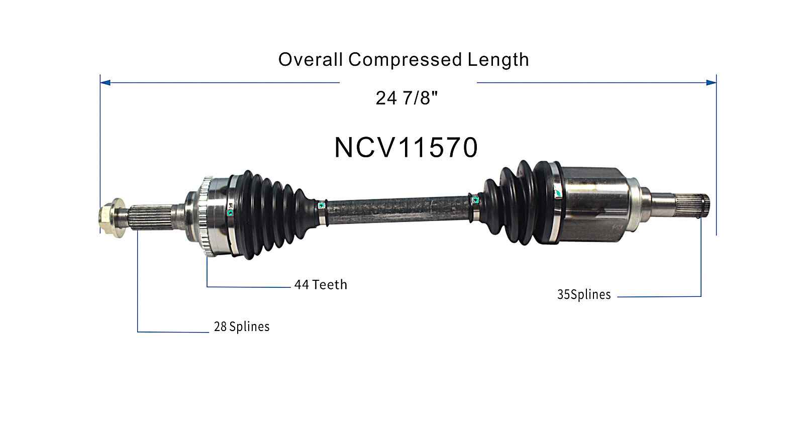 NCV11570_SPE.jpg