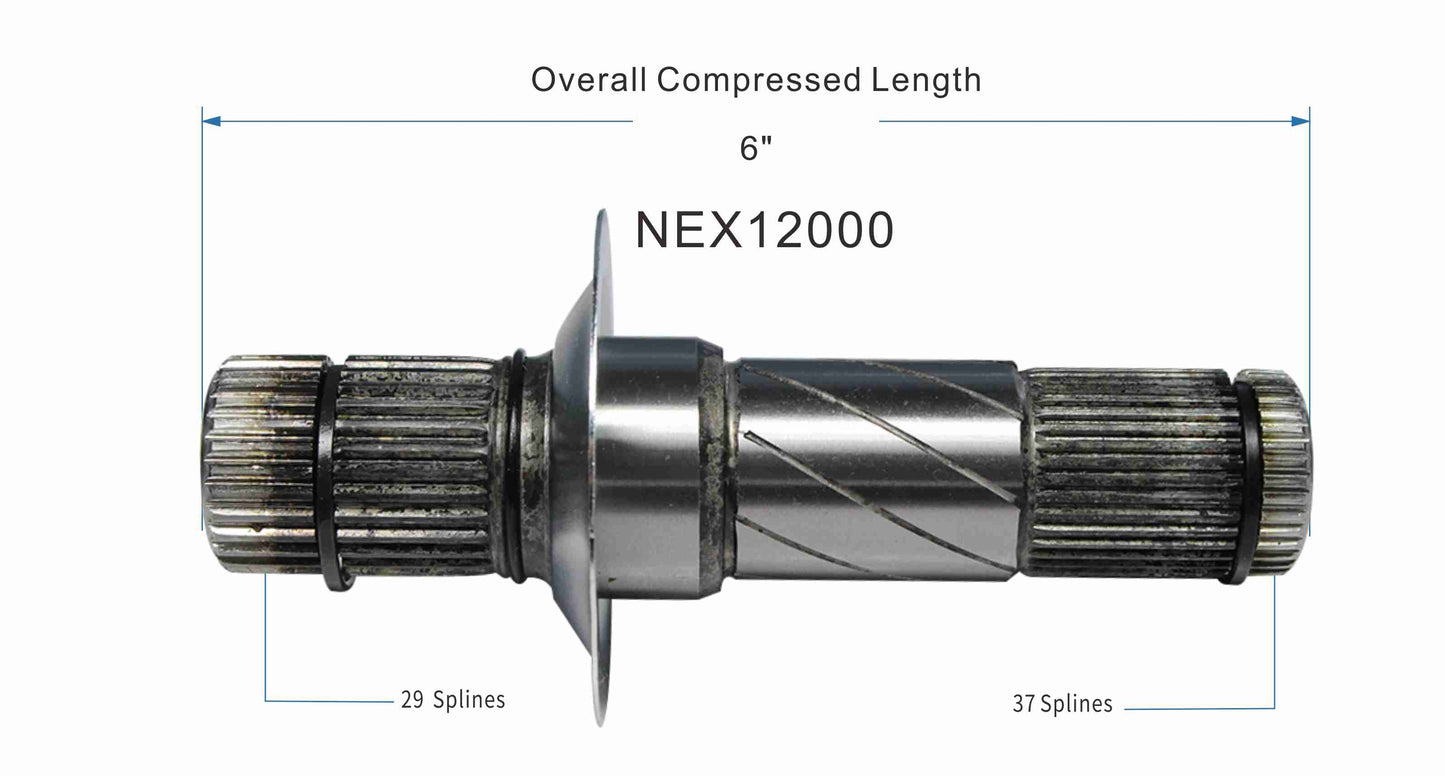 NEX12000_SPE.jpg