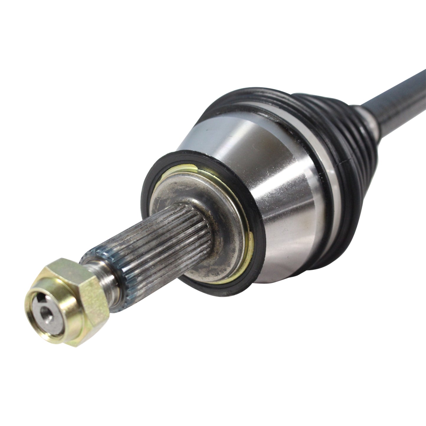NCV11004_3.jpg