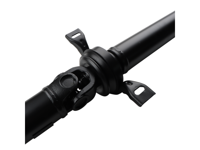PS900190_3.jpg