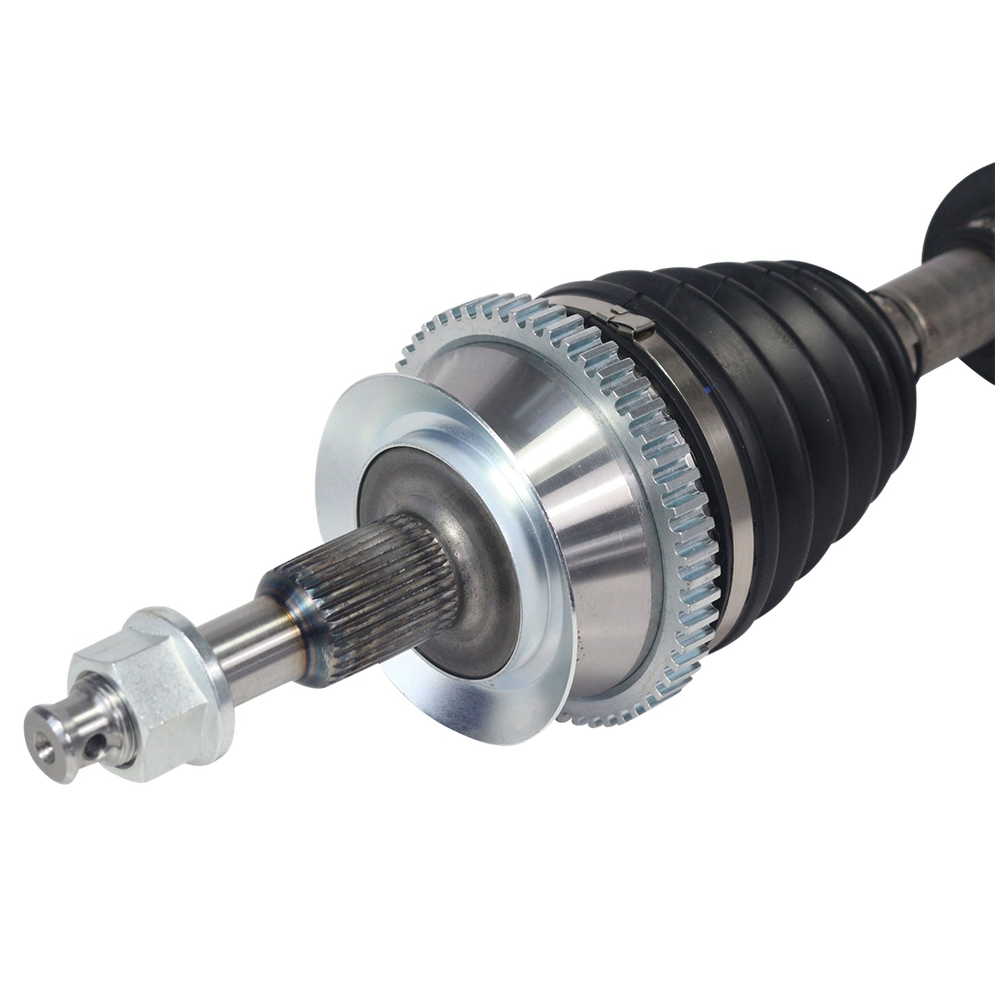 NCV12021_3.jpg