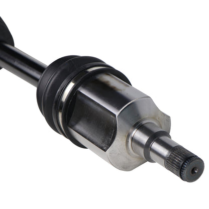 NCV11198_1.jpg