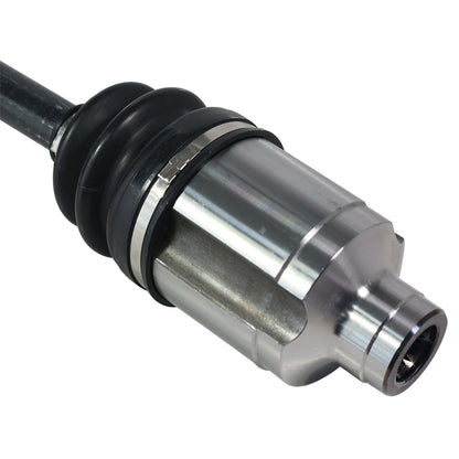 NCV11099_4.jpg