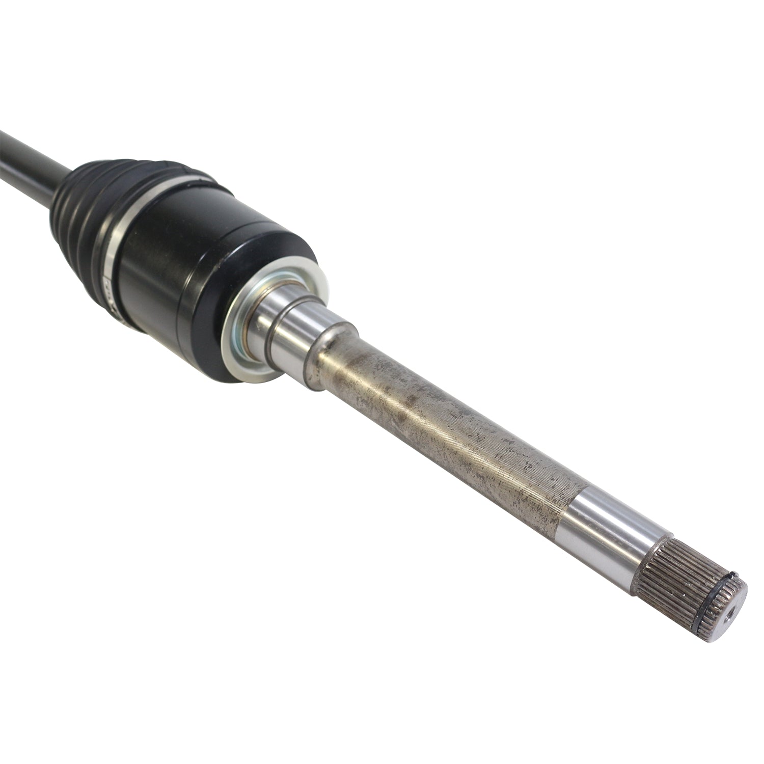 PR48021_4.jpg