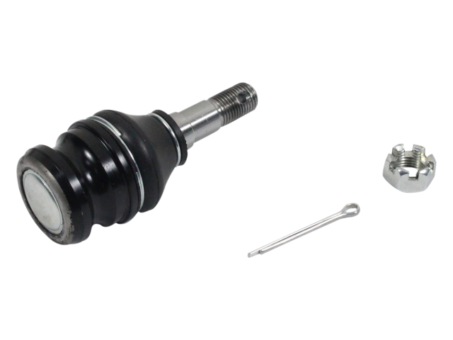 NS80503_1.jpg