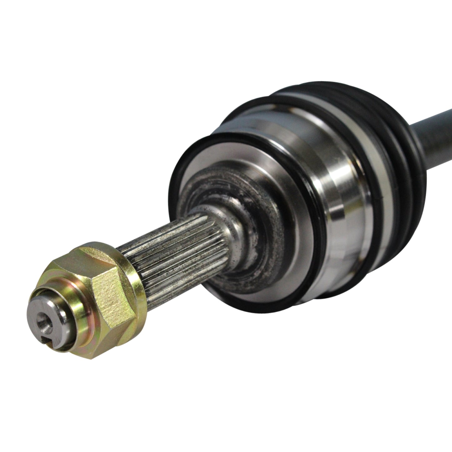 NCV40001_3.jpg