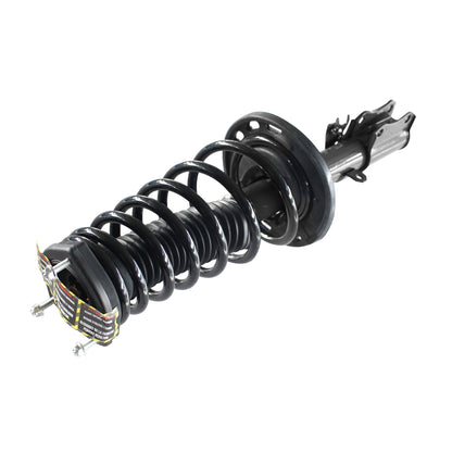 869004.jpg