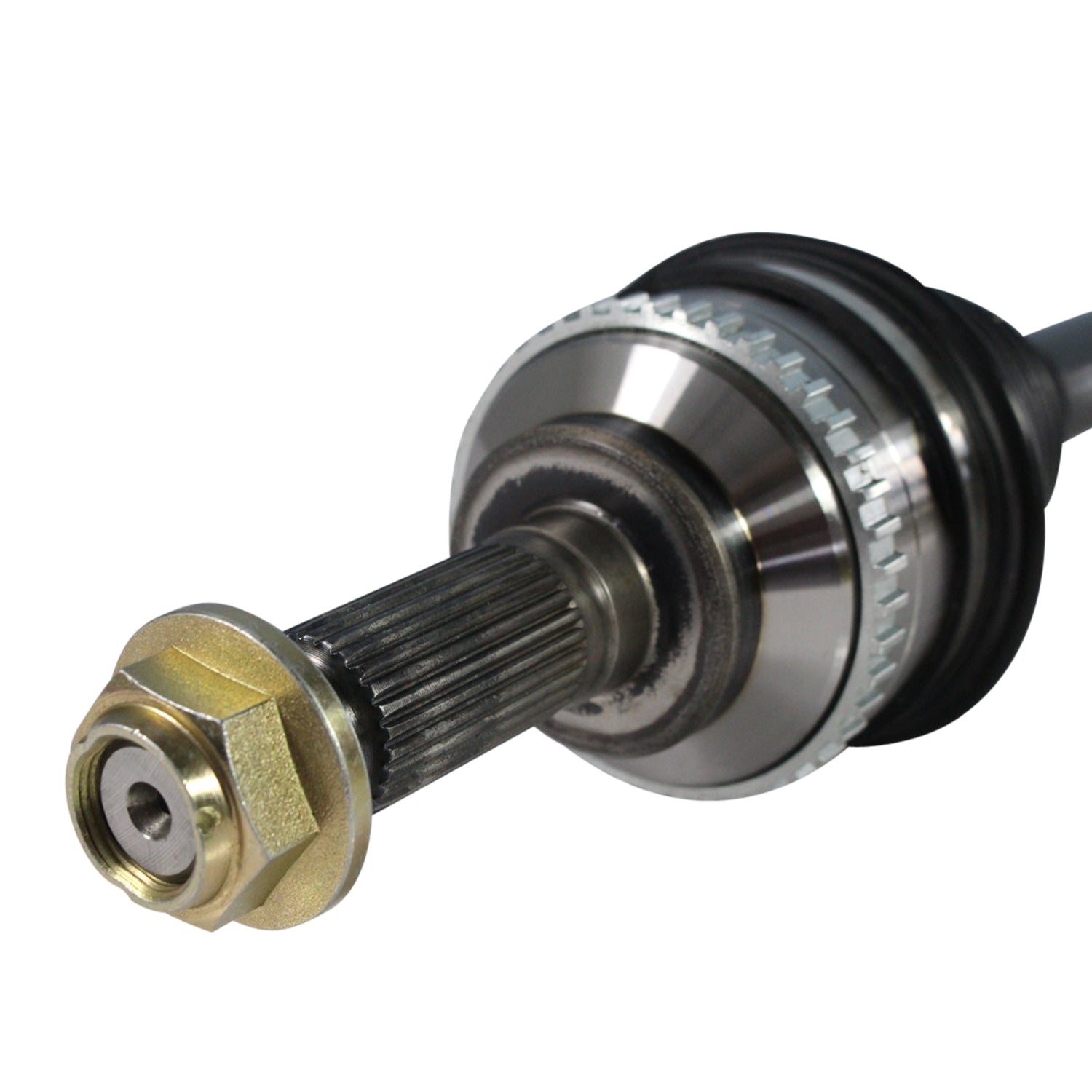 NCV11507_3.jpg