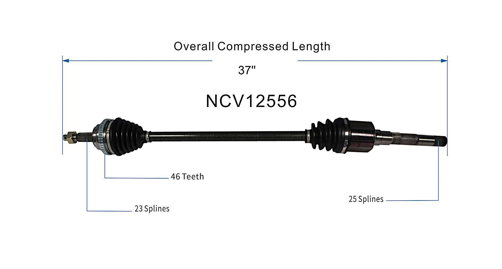 NCV12556_SPE.jpg