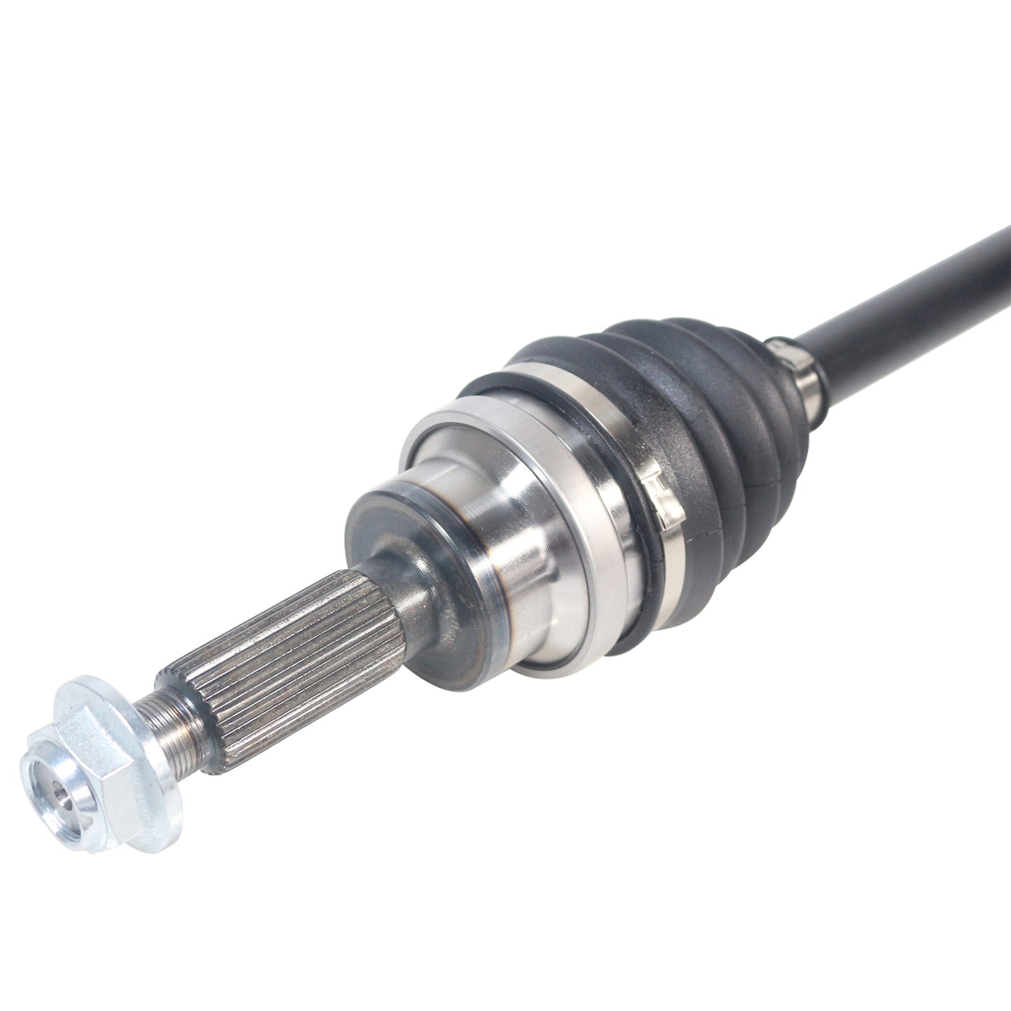 NCV11168_3.jpg