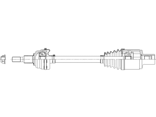 NCV12156.jpg