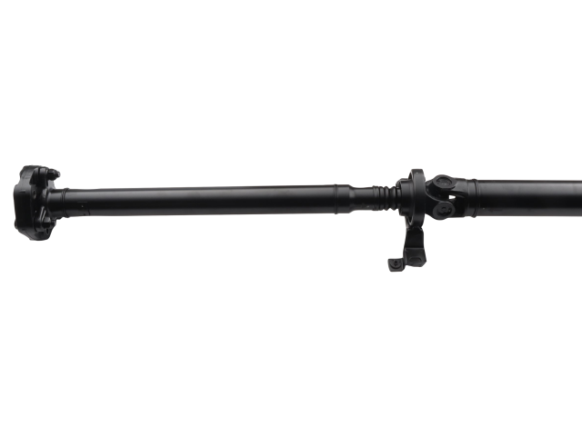 PS901536_1.jpg