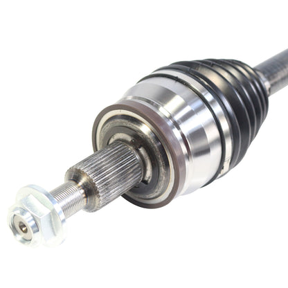 NCV12138_3.jpg