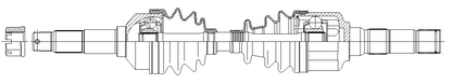 4103041.jpg