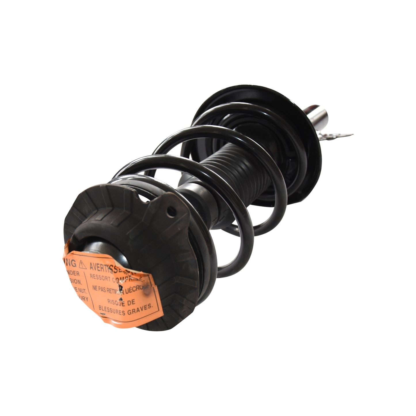 810093.jpg