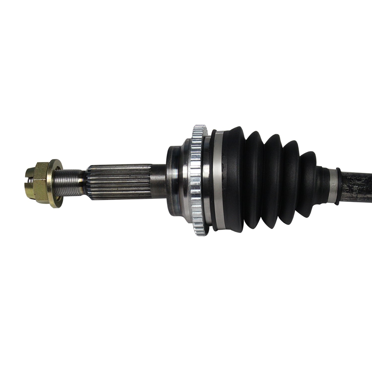 NCV11163_1.jpg