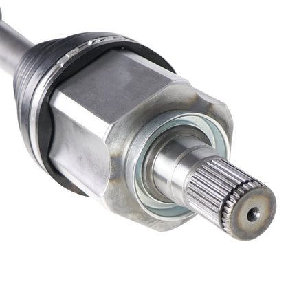NCV11208_1.jpg