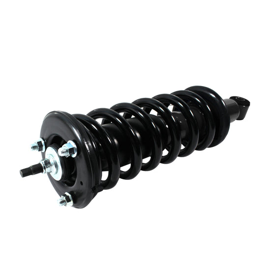 853318.jpg