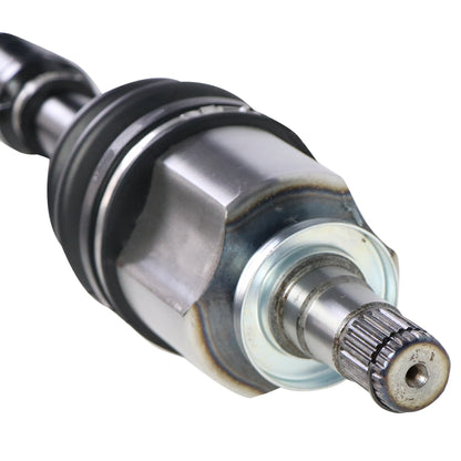 NCV49036_1.jpg