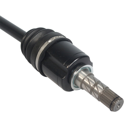 PR66009_4.jpg