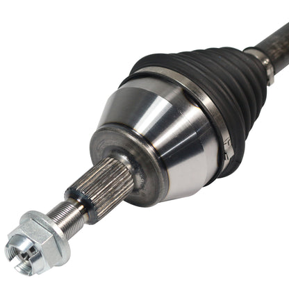 NCV11211_3.jpg