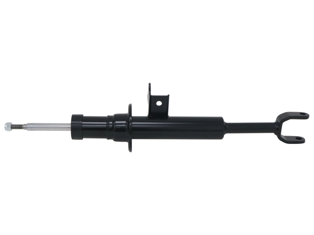 GS8251_1.jpg