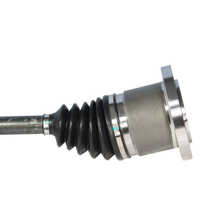 NCV10014_2.jpg