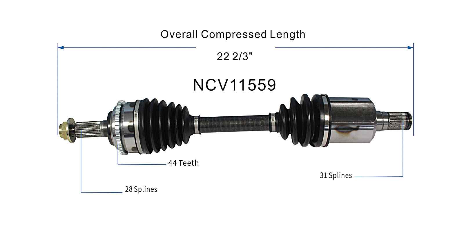 NCV11559_SPE.jpg