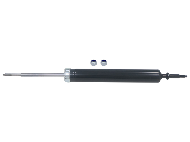 GS8093.jpg