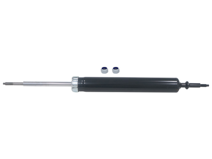 GS8093.jpg