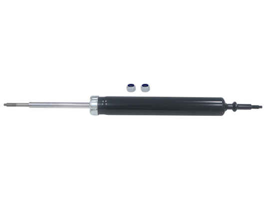 GS8093.jpg