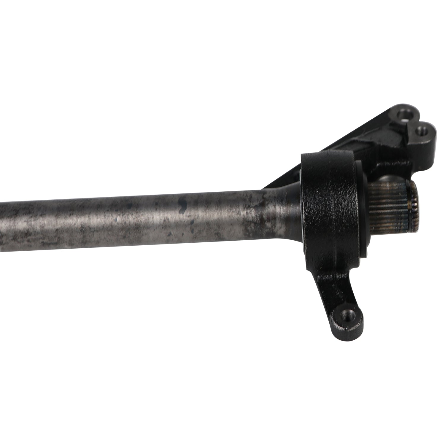 NEX21000_2.jpg