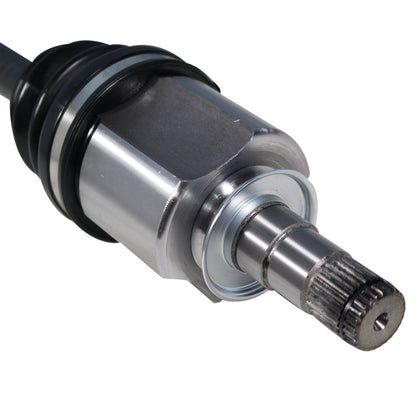NCV49001_4.jpg