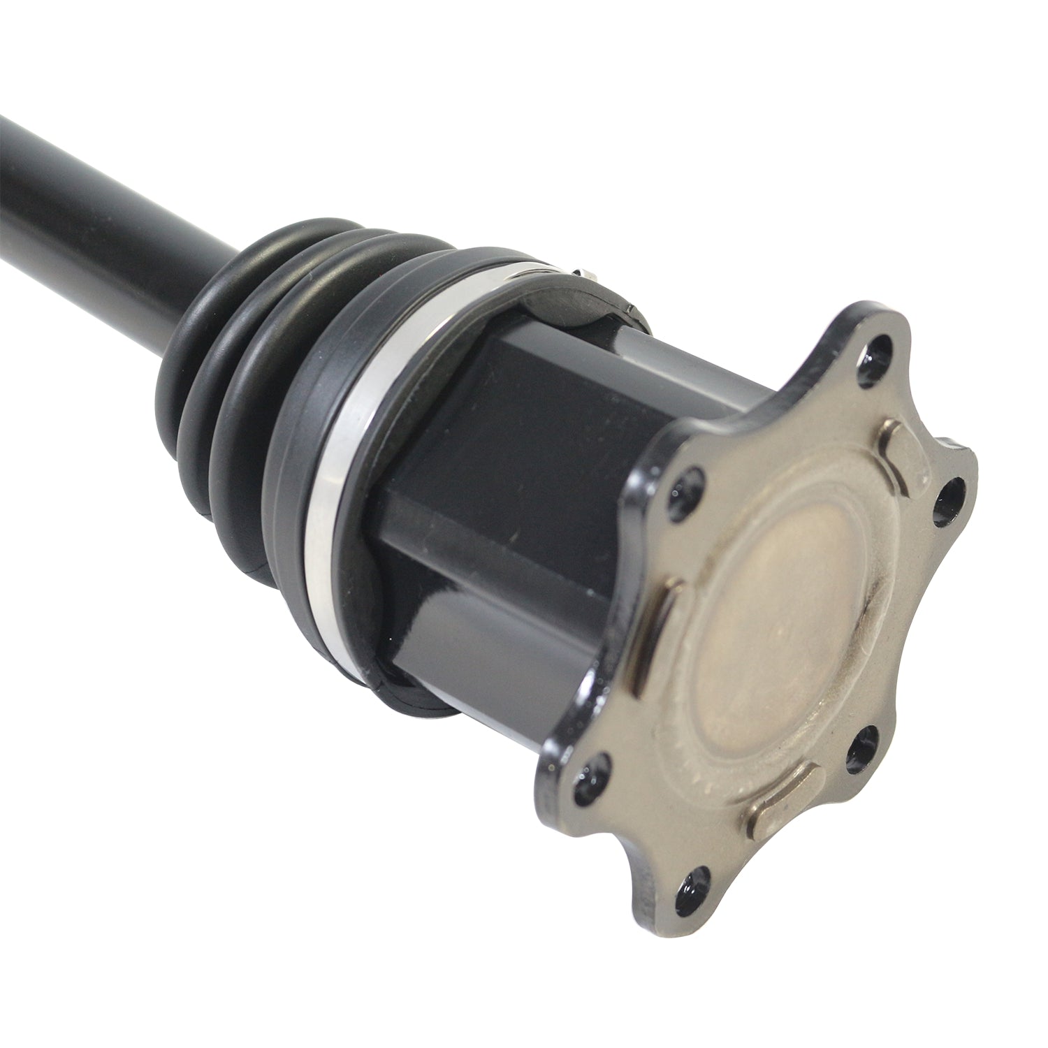 PR23524_4.jpg