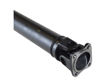 PS900250_1.jpg