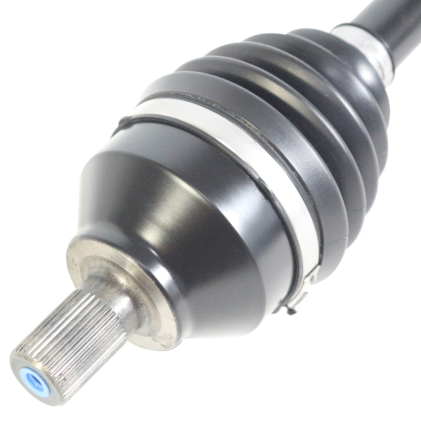 PR73555_3.jpg