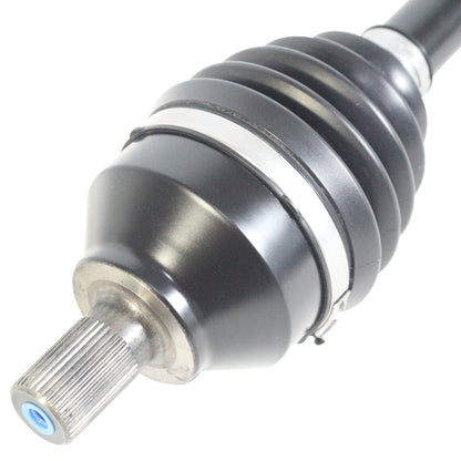 PR73555_3.jpg