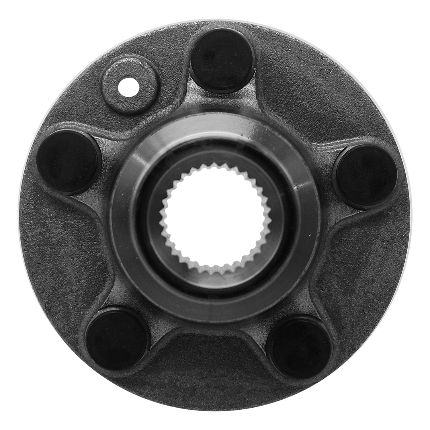 832300WH_3.jpg