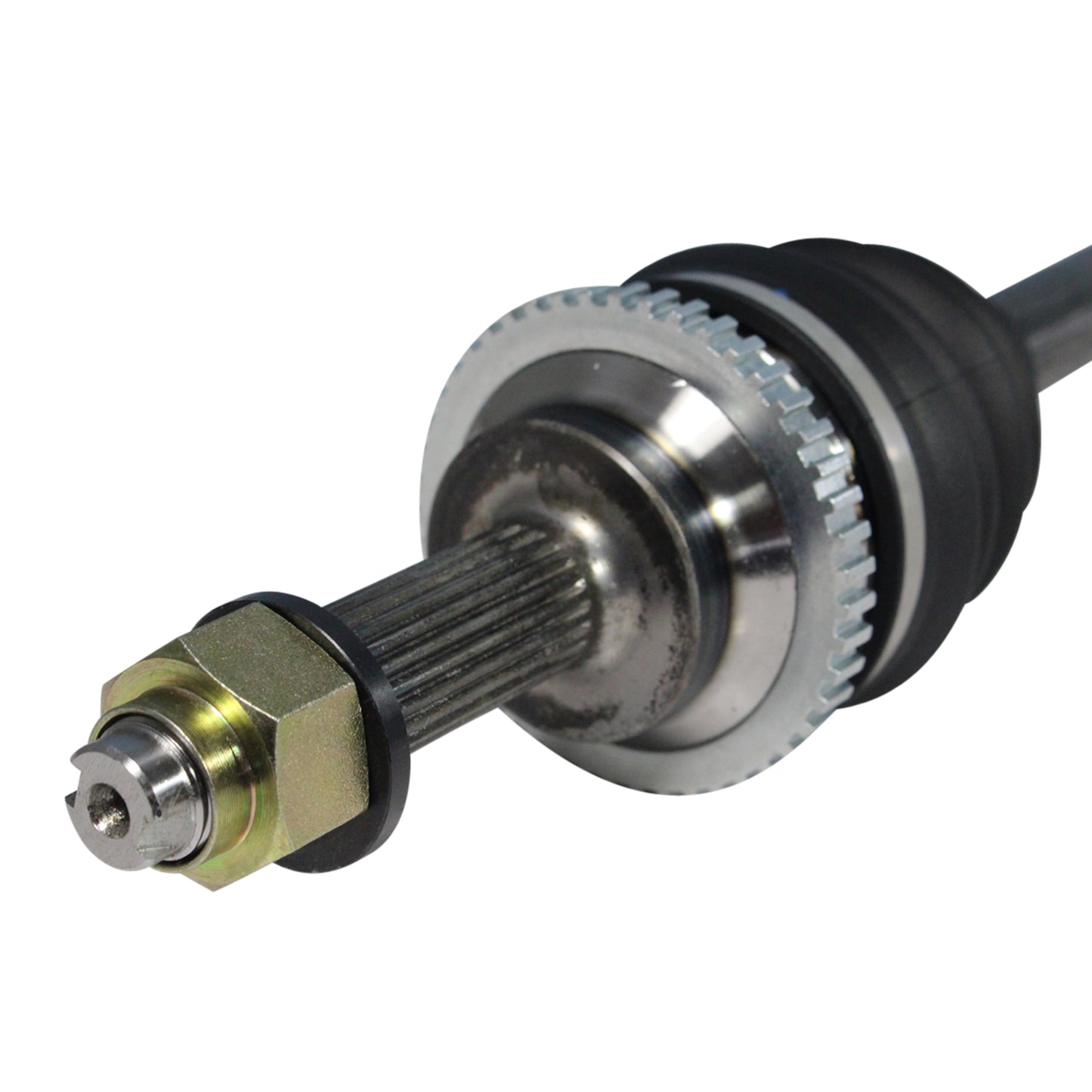 NCV10305_3.jpg