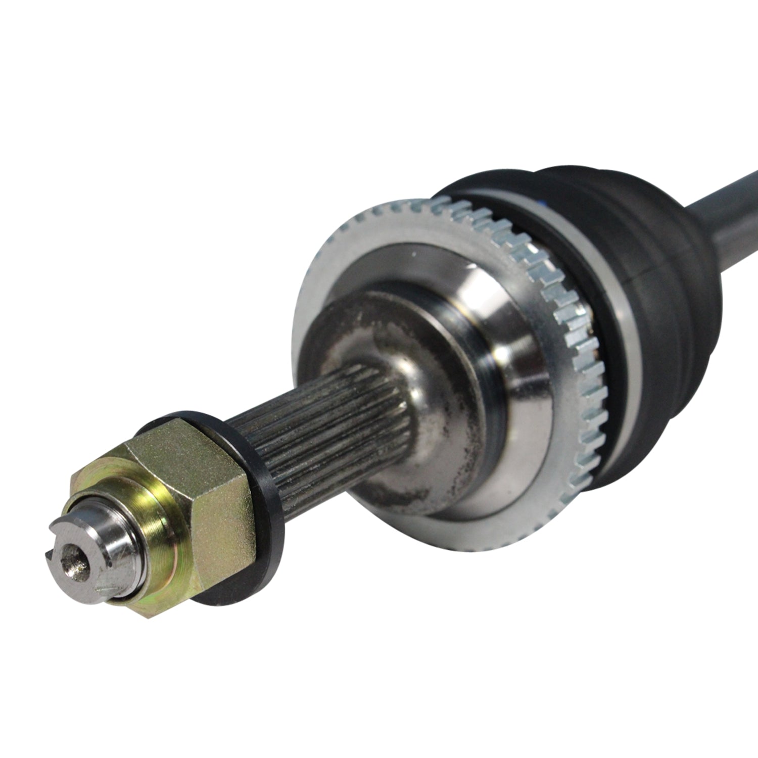 NCV10305_3.jpg