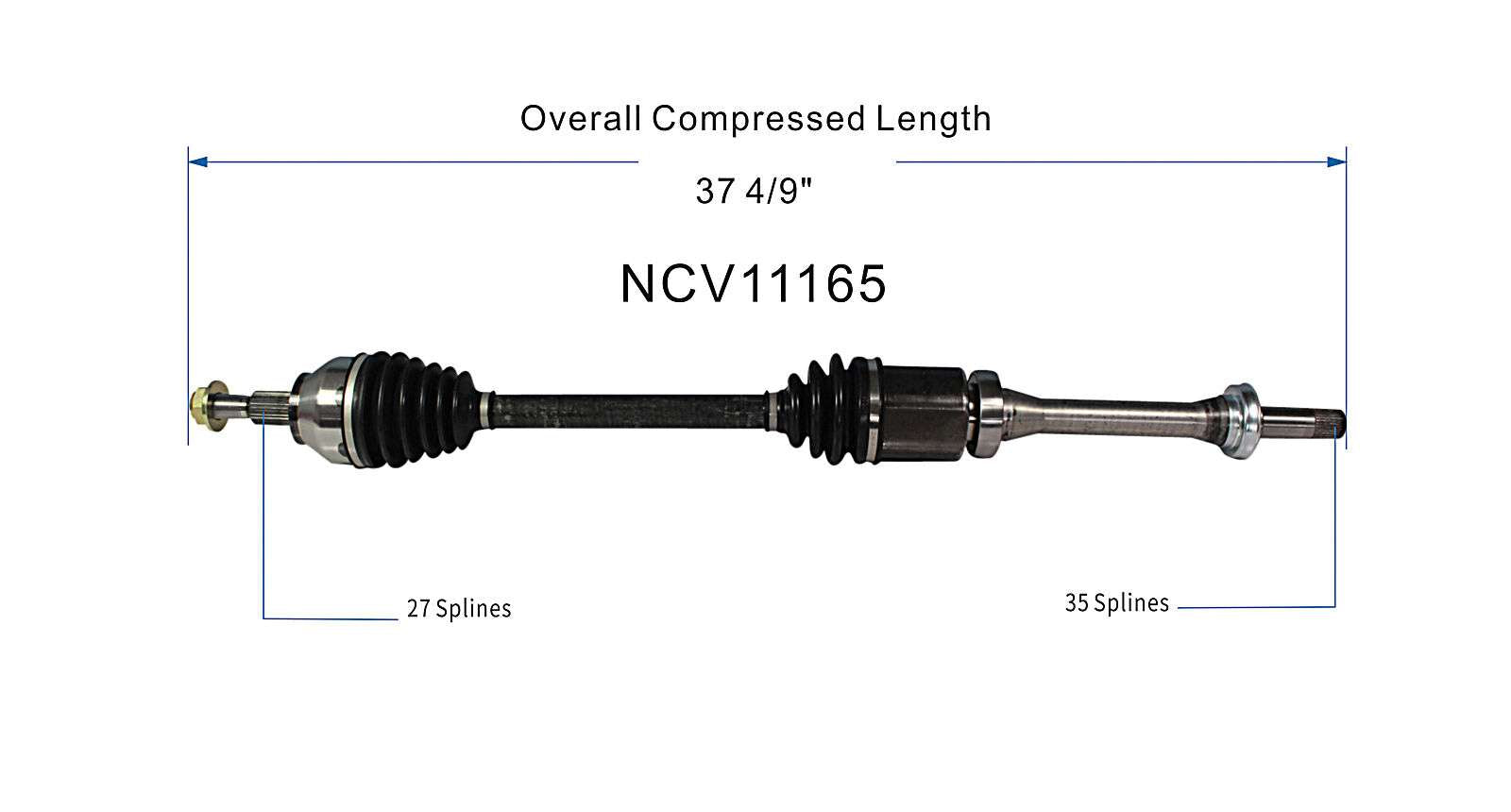 NCV11165_SPE.jpg