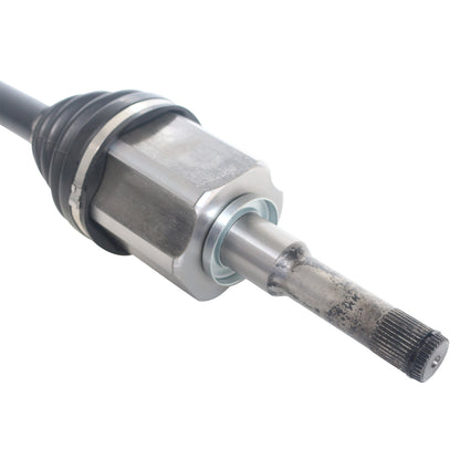 NCV11166_4.jpg
