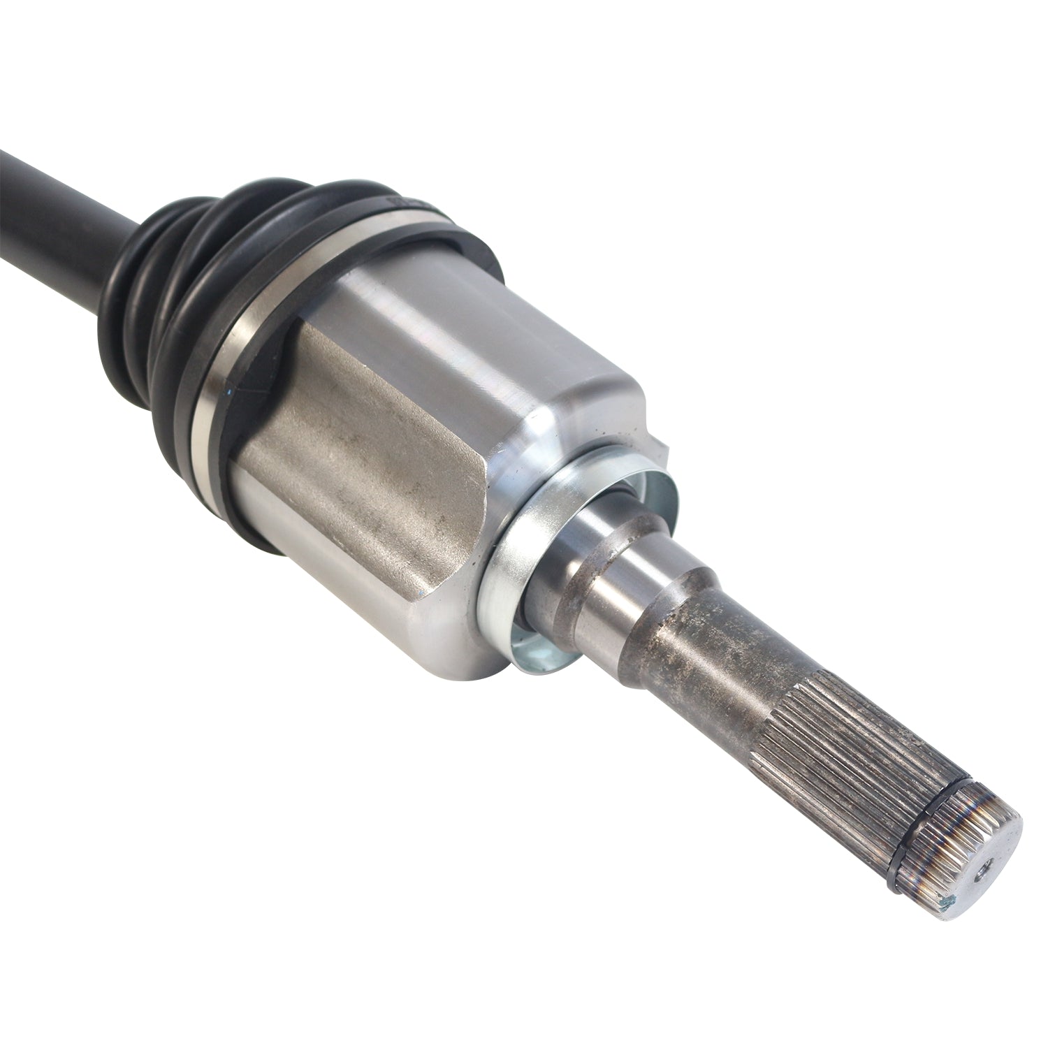 NCV11157_4.jpg
