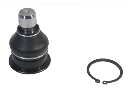 NS80333.jpg