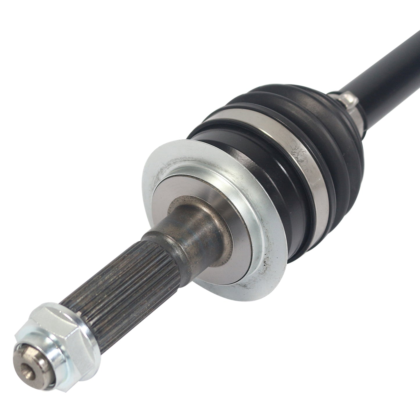 PR66010_3.jpg